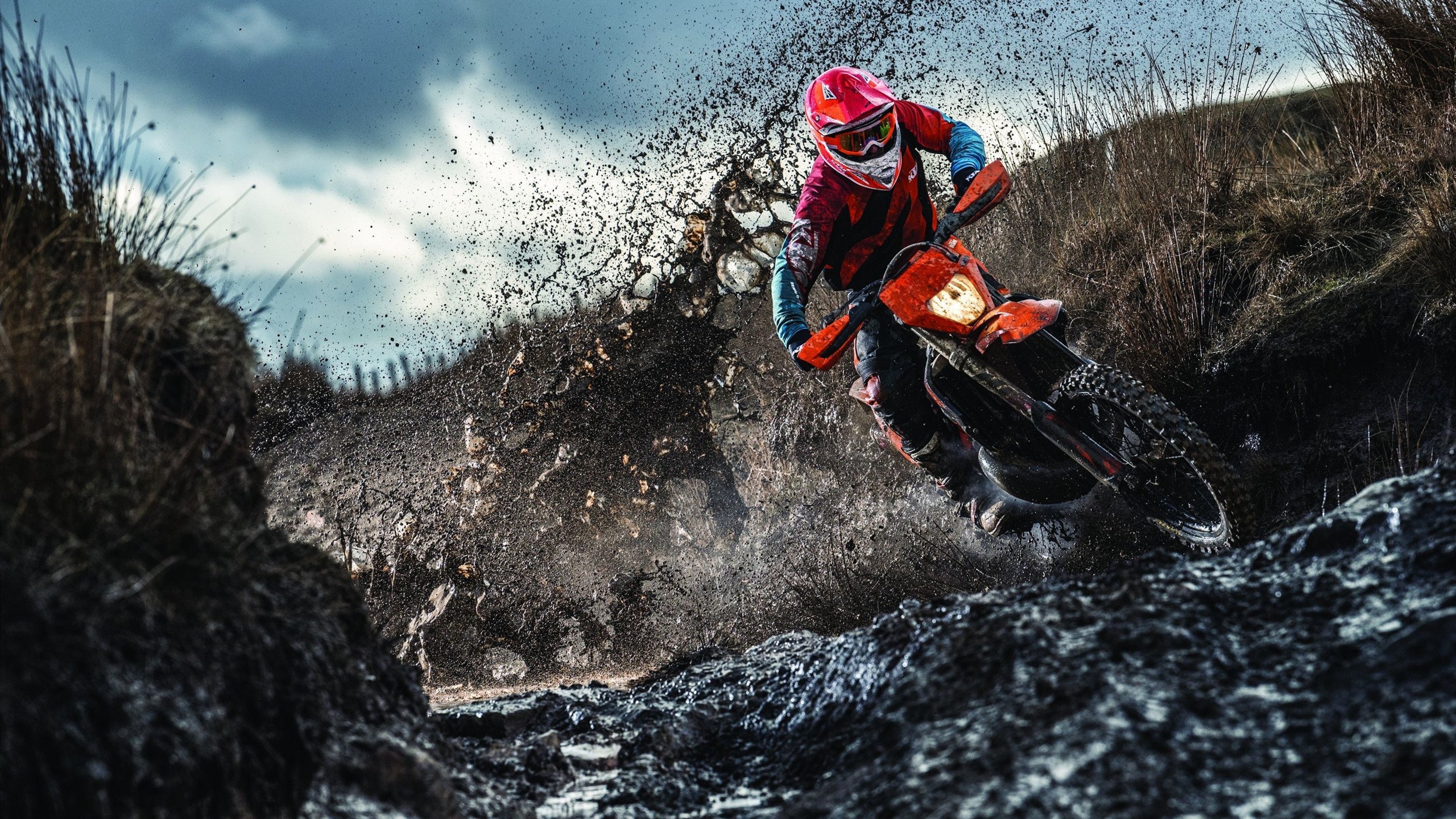 体育宣传周开展线上线下互动主题活动,体育宣传周开展线上线下互动主题活动总结