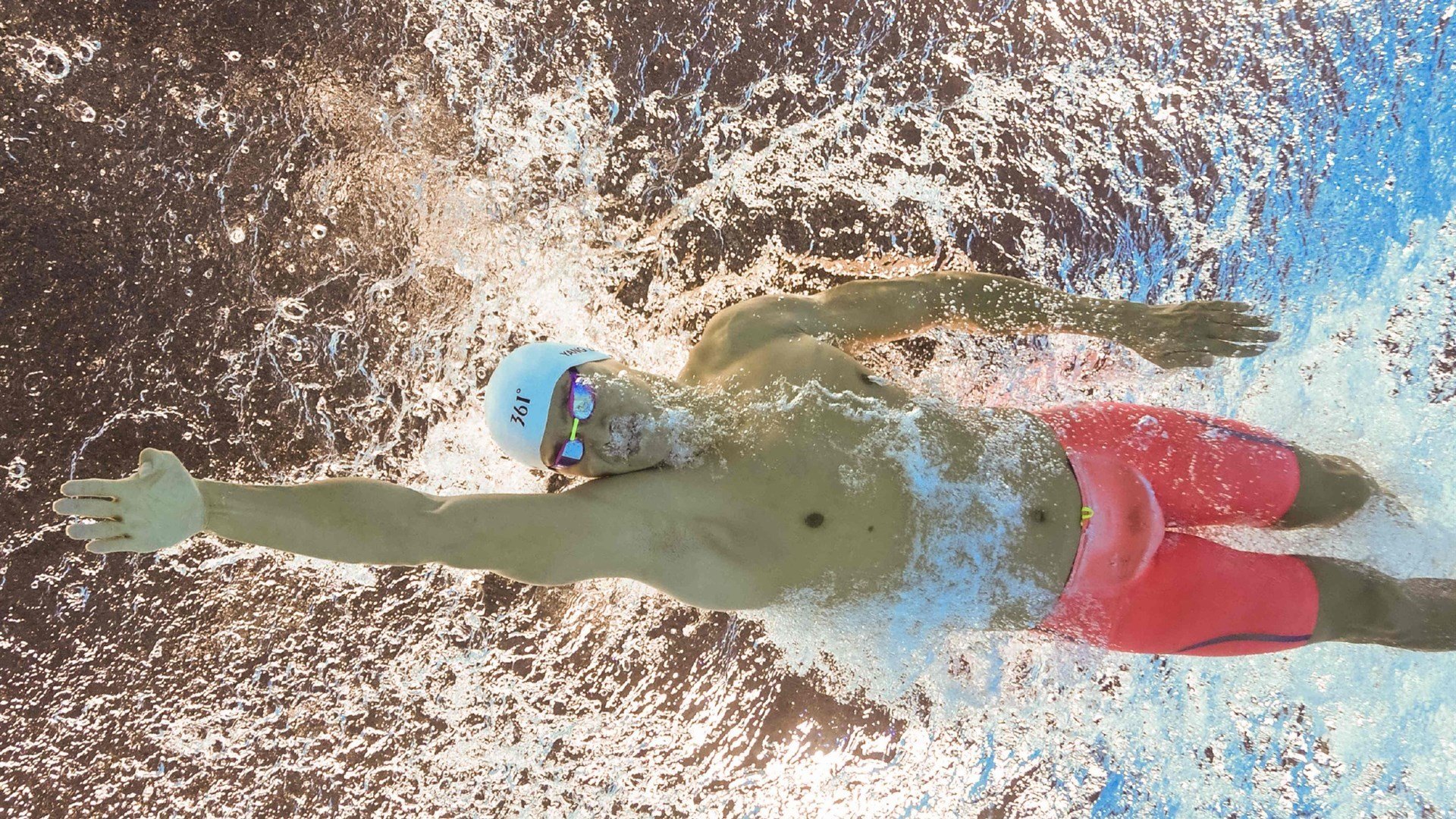 22分钟横扫，樊振东德甲爆发引关注，樊振东vs德国