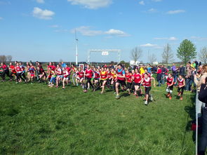 米兰全站APP下载-国家体育局发布青少年体育投入激励方案，青少年体育国家政策