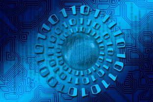 -国足比赛录像分析系统优化，国足比赛现场